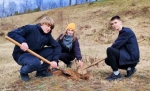 Единый день озеленения прошел в Лиозно