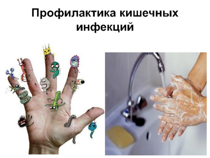 Профилактики острых кишечных инфекций