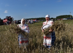 Прошёл районный праздник зажинок с обрядовыми действиями «Жніва дзянёчкі залатыя», который дал старт массовой уборке урожая в районе