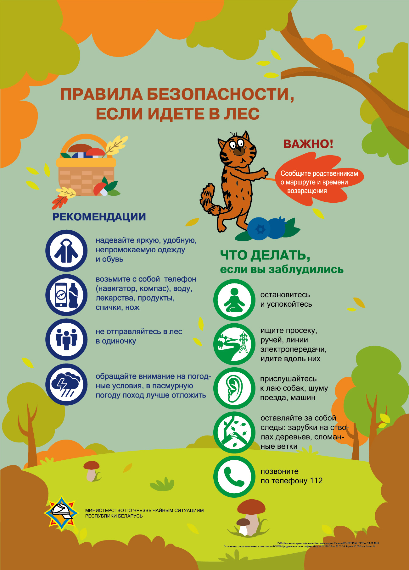 Что делать, если заблудились в лесу? Отвечает МЧС Беларуси!