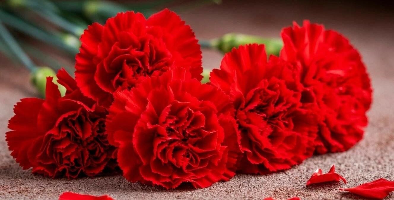 Поздравления с 82-й годовщиной освобождения Лиозненского района от немецко-фашистских захватчиков от члена Совета Республики Национального собрания Республики Беларусь Глеба Лапицкого