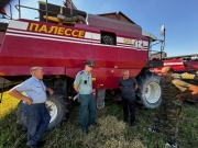 Захаваць вырашчанае без страт