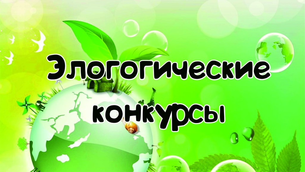 Объявлен конкурс фотографий "Экологичный пластик"