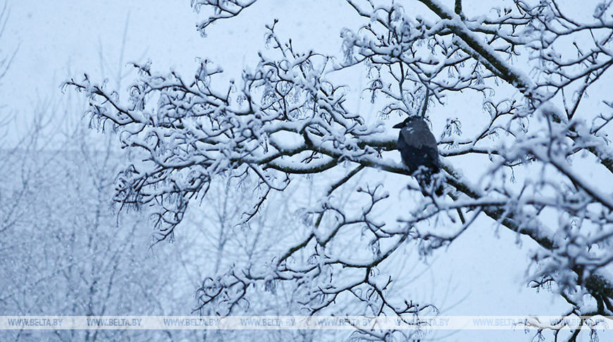 Красный уровень опасности объявлен  в Беларуси 9 января