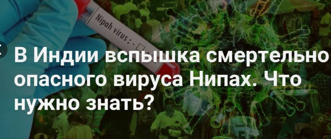 Информация о вспышке в Индии заболевания,  вызванного вирусом Нипах