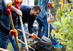 12 августа в организациях и учреждениях Лиозненщины пройдёт районный субботник