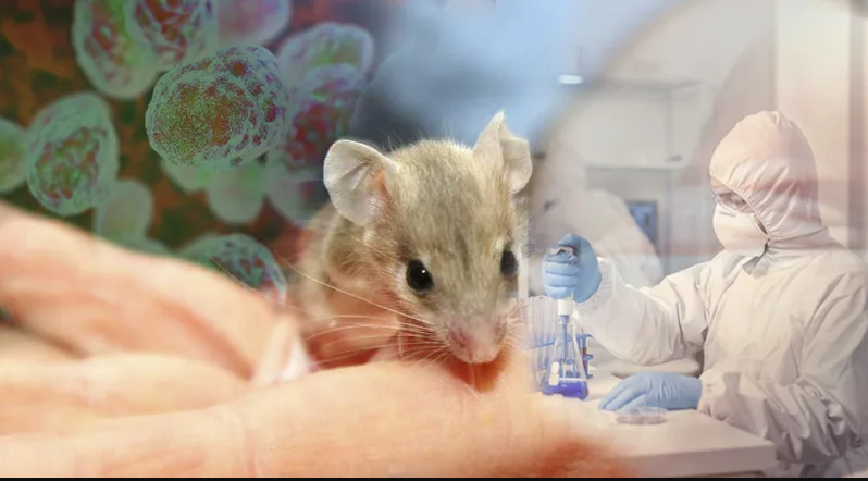  Туляремия - опасность!